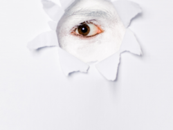 Auge für Flyer Logo